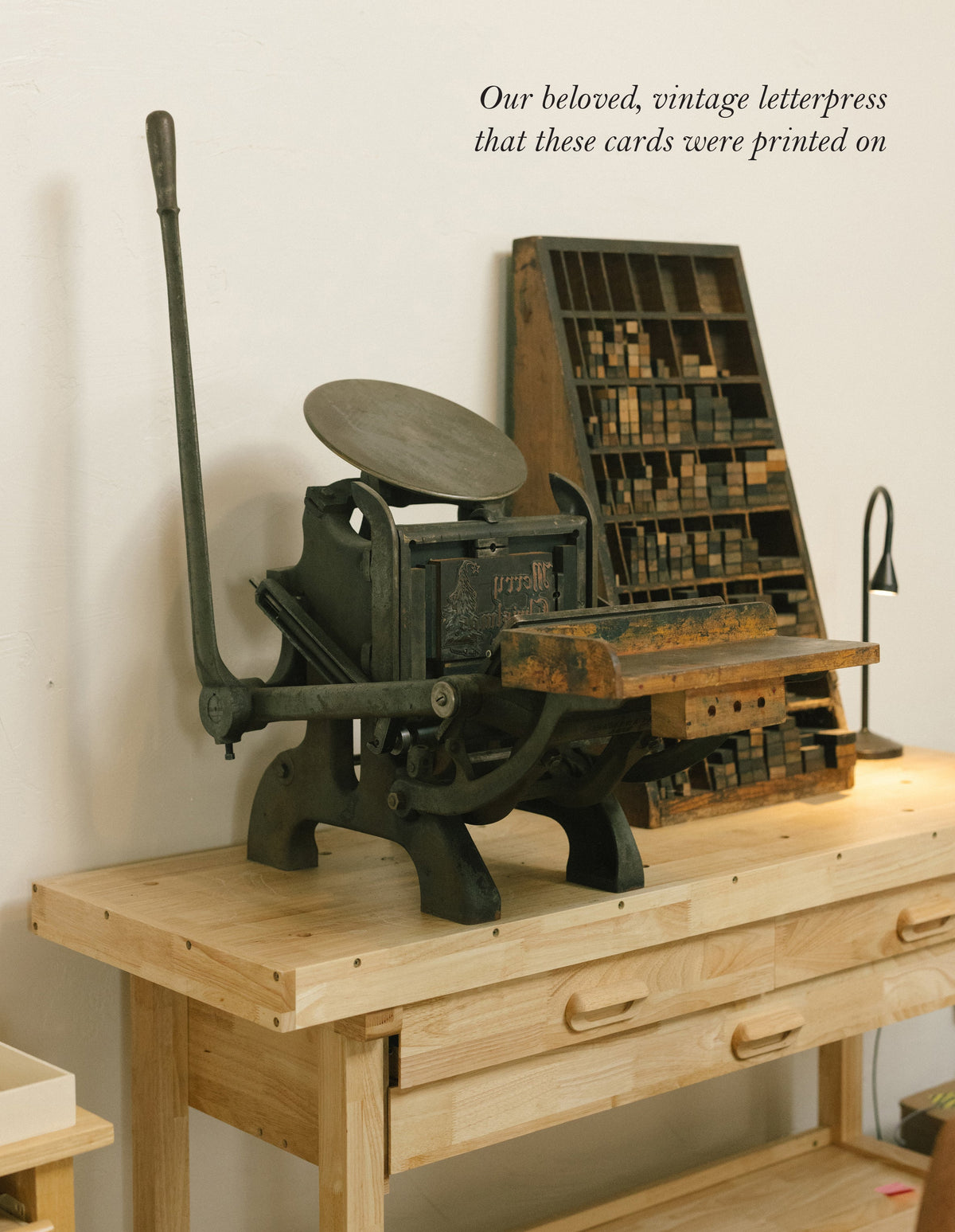 Vintage Bow Letterpress Greeting Card | Pretty Everyday Card